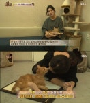 동물농장 배다해, 거식증 고양이 준팔이의 마음을 열다…감동!