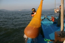 강화도 생생정보통 맛집 진복호, 믿을 수 있는 국내산 새우젓 한정 수량 판매