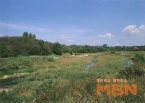 달을 닮은 경주 월성 내부 발굴 시작 고대사 유적 중 가장 중요한 곳
