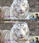 동물농장 김상중, 내레이션 도중 노래 실력 공개 폭소!