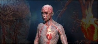 [M+기획…‘생로병사의 비밀’③] 전흥렬 CP “시청자 관심사 풀어주기 위해 노력”