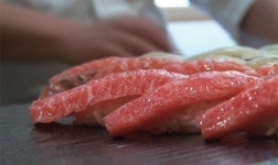 고래회충, 생선회-초밥 좋아하는 사람이라면 ‘조심’…먹은 지 5시간 만에 위벽 뚫는다고?