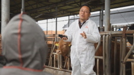 [성공다큐 최고다] 이름을 걸고 자부하는 ‘명품 한우’의 탄생비화! ‘행복하누’··· 김상준 대표