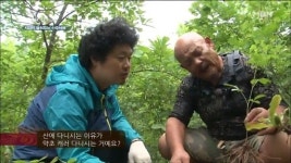 나는자연인이다 시청률 6% 육박, 산이 주는 즐거움에 푹 빠진 모습 임도 보고 뽕도 따고