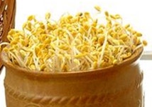콩나물 비빔밥 만드는 법, 다이어트 식품으로도 최고…어떤 콩나물이 좋은가 보니