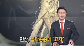 골다공증에 좋은 음식, 알고 보니 ‘인삼’ 효과만점