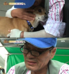 동물농장 똘이, 화상 입은 몸으로 주인 찾아 헤매