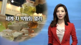 명원 세계 차 박람회 성황리 개최…차(茶) 문화 일상화 열었다