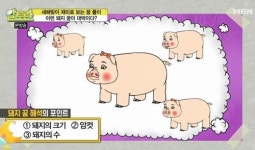 띠별 운세, 새해맞이 꿈 풀이는? 이런 돼지 꿈 꿨다면 대박 예감…오호라!