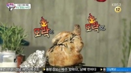 나정원 셰프 “닭봉에서 오삼두루치지까지, 캠핑요리는 이렇게”(인터뷰)
