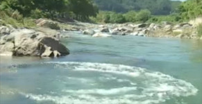 생존수영으로 살아난 초등생…너울성 파도서 극적구조