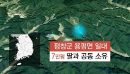 최순실 평창에 소유한 땅 불법 개발?…말 목장 조성 정황도