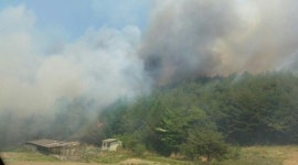 강릉·삼척 산불에 이어 이번엔 경북 봉화서 산불 발생 