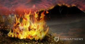 양주 불곡산서 불…임야 1천650㎡ 소실