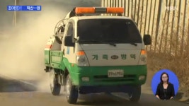 AI 위기경보 최고단계 `심각`…제주 AI 고병원성 확인