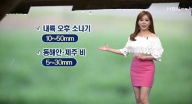 [오늘의 날씨] 오늘 내륙 강한 소나기…낮 최고 22~30도