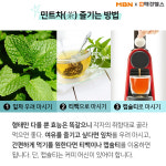 토리한전통차&커피향 | [건강스펀지] 수능 전, 꼭 마셔야 할 차(茶)