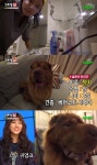‘가로채널’ 설현, 방송 최초 민낯+반려견 덩치 공개 “귀엽죠?”