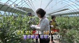 사노라면 남편밖에 모르던 귀농 5년 차 아내, 설움 폭발한 사연은?