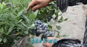 사노라면 남편밖에 모르던 귀농 5년 차 아내, 설움 폭발한 사연은?