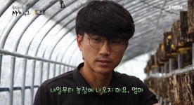 사노라면 아들에게 버섯농장을 물려주려던 엄마가 대폭발한 사연은?
