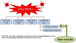 알로에, 코로나바이러스 예방효과 있어...김정문알로에, 논문 3편 공개