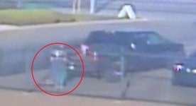 고조되는 反아시아인 정서…정육점에 고양이 사체유기까지