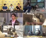 ‘개훌륭’, 주택가를 뒤흔드는 정체불명의 울음소리…하울링부터 입질까지?