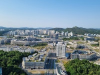 [세종기자실록] 미래 예측부터 일본해 표기 보도자료까지…실수 연발한 세종 관가