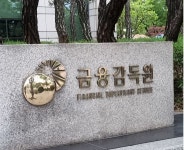 보험사기와 전쟁 금감원, 대규모 제재…대형 보험사도 적발
