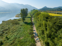 섬진강 대숲길 따라...구례사찰 명상순례길 걷기대회 개최