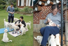 홍준표 文, 개 3마리도 건사 못하면서 나라 5년 통치