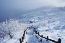 [TOUR LIST] 눈꽃여행의 성지