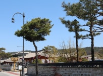 [TOUR LIST] 전통과 쉼이 있는 한옥체험마을