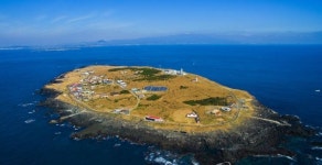 마라도 뿔쇠오리 지켜라…길냥이 이어 주인 없는 반려견 관리 착수