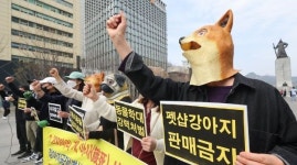 검찰, 개·고양이 1,200여 마리 굶겨 죽인 60대 구속기소