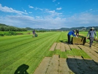 새로운 농업 패러다임 제시…순천에서 발견한 신성장 농업의 비밀은?