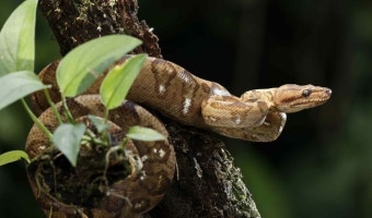 '영끌'해 마련한 첫 집인데...좌절한 두아이 싱글맘, 왜?