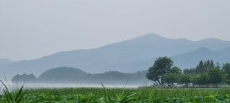 [Travel] 양평에 핫도그만 드시러 가나요?