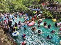 [남도찰칵] 폭염 물렀거라 제암산자연휴양림 계곡에 풍덩