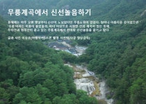 [Travel] 계곡 자연 음악회가 열린 무릉