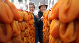 고종이 먹고 감탄한 함양 곶감 첫 경매…지난해보다 2배 올라