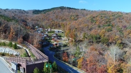 [남도마실] 제암산자연휴양림으로 MT·워크숍 가자…단체 활동 최적지