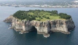 천연기념물 제주 범섬에 토끼들 대량 번식…포획 작업 추진