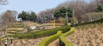 [Travel] 달콤한 봄에 취하다...꽃동네 부천