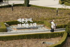 [Travel] 달콤한 봄에 취하다...꽃동네 부천