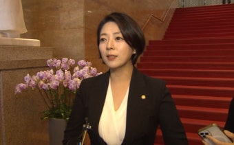 배현진 