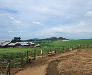 [박기자 어디가]  전북 고창의 히든 비치, 동호 해변...고창으로 떠난 낙조 맞이 해변 여행