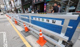 가로수로 시청역 사고 재발 막는다…2026년까지 2천그루 심기로