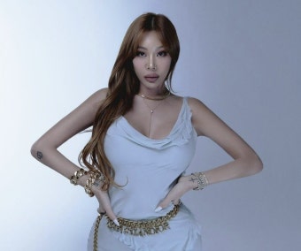 경찰, '제시 팬 폭행' 사건 수사 중